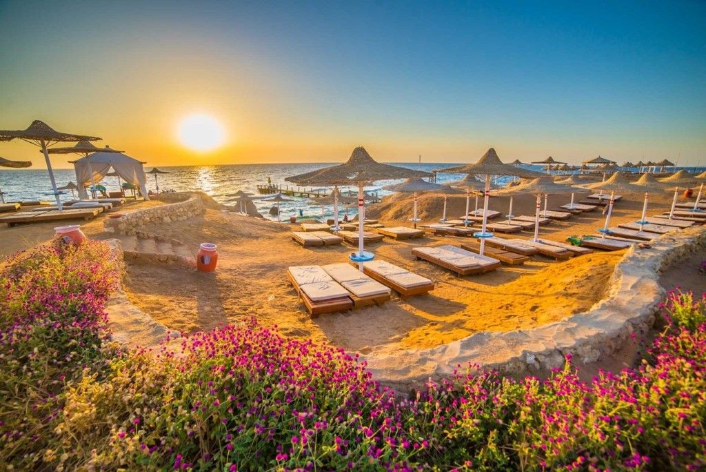 travel advice for sharm el sheikh